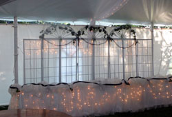French door backdrop