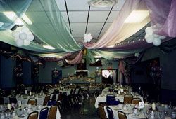 Pastel Organza Ceiling decor