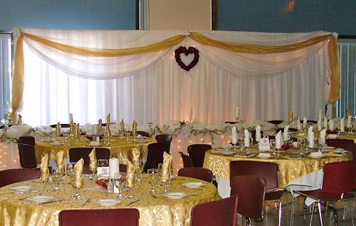 Organza backdrop