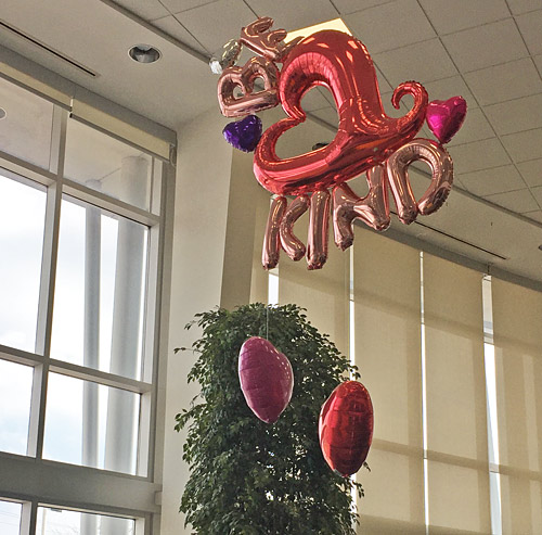 February decor