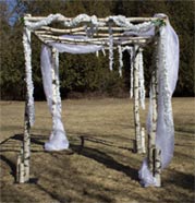 birch pergola