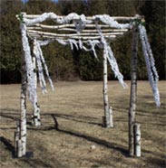 birch pergola