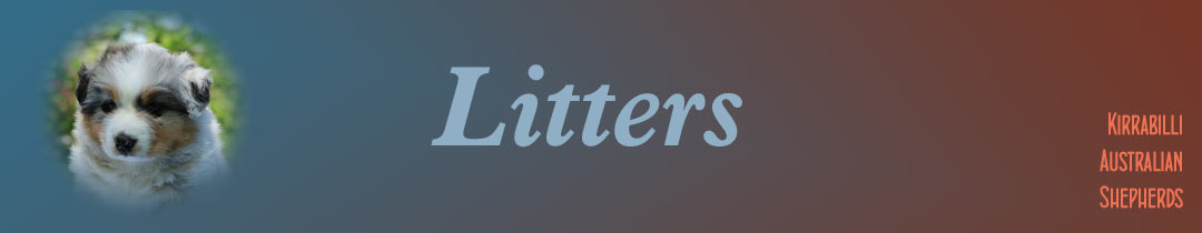 Litters banner