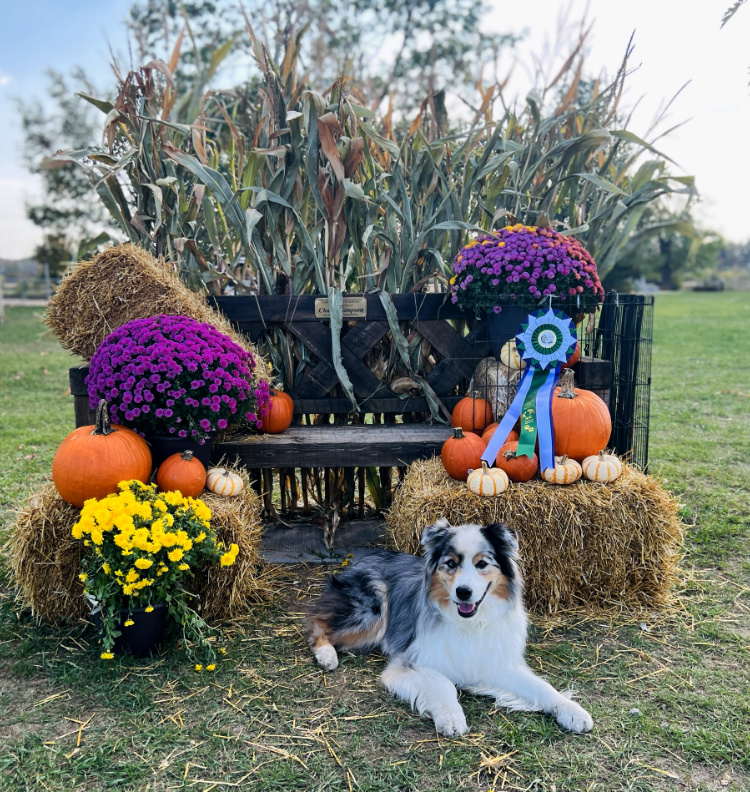 Axel-Snooker Silver Title