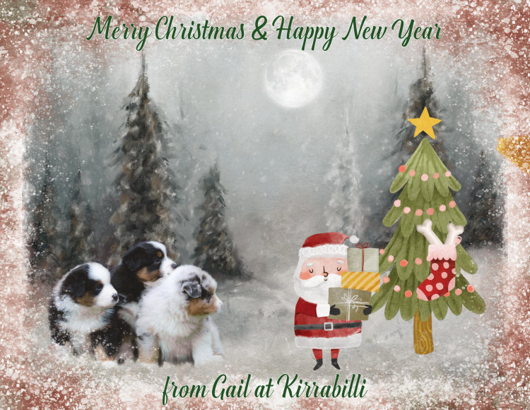 Merry Christmas